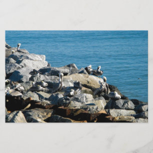 Papier Pélicans sur les rochers