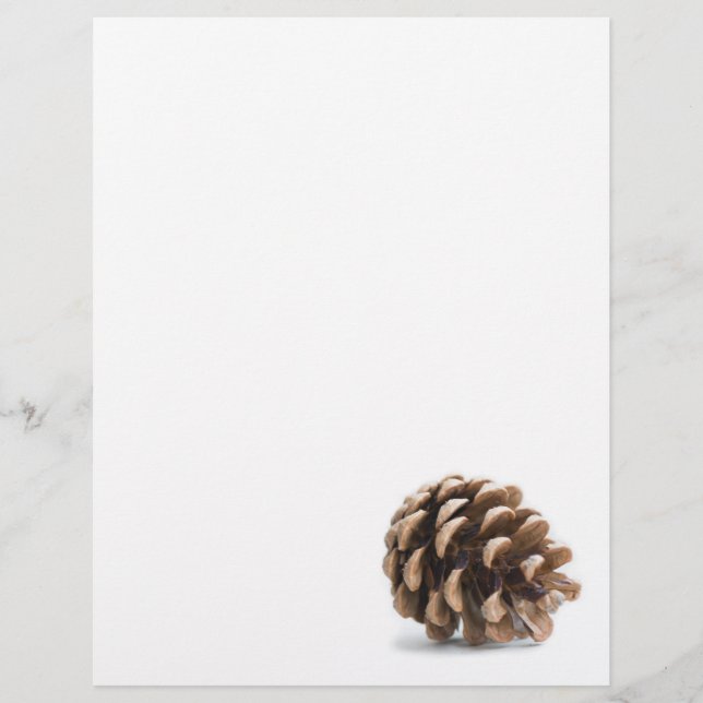 Papier Pénecone unique (Devant)