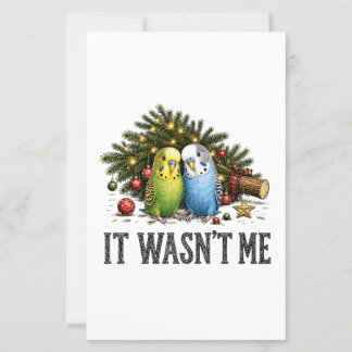 Papier Perruches drôles Noël C'était pas moi
