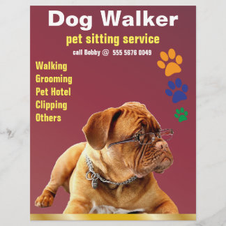 Papier Pet Sitting Service Chien Walker Fiable Circulaire