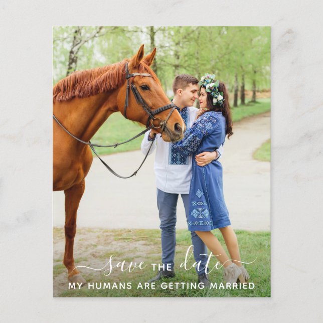 Papier Photo Animale Moderne Mariage Cheval Enregistrer L (Devant)