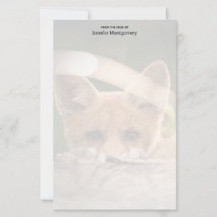Papier Photo de Cute Little Orange Fox