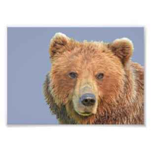 Papier photo professionnel Kodak 7x5 (satin)