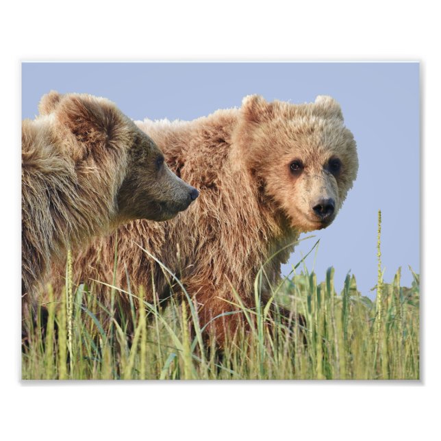 Papier photo professionnel Kodak de 10 po x 8 po ( (Devant)