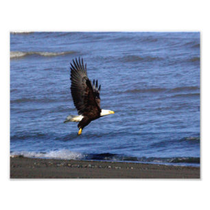 Papier photo professionnel Kodak de 11 po x 8,5 po