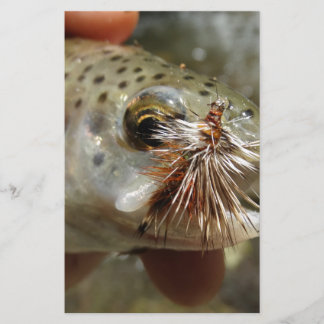 Papier Photo Rainbow Trump