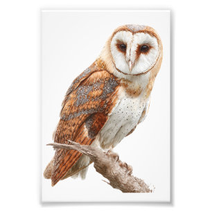 Papier photo satin premium Owl pour agrandissement