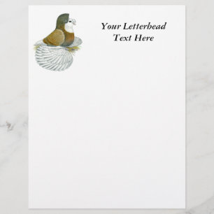 Papier Pigeon Trompette AOC Baldhead