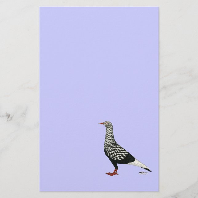 Papier Pigeon Volant Teager (Devant)