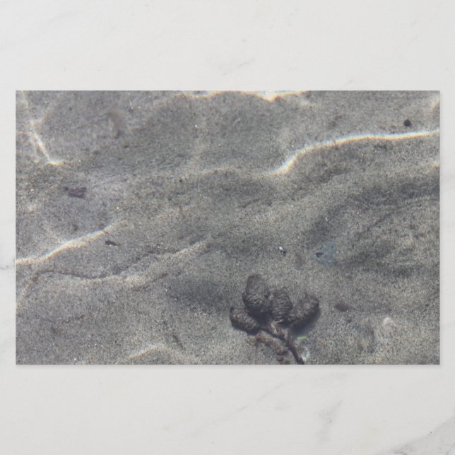 Papier Pinecones dans l'eau (Devant)