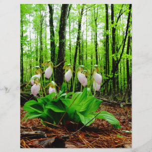 Papier Pink Lady Slipper sauvage orchidée