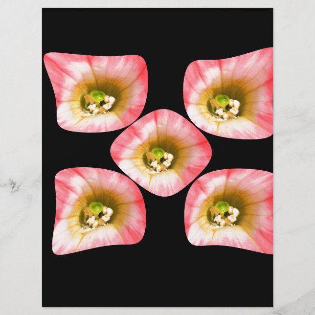 Papier Plaisir Floral (Devant)