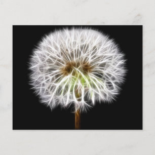 Papier Plante de fleurs de pissenlit blanc
