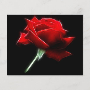 Papier Plante de fleurs de rose rouge