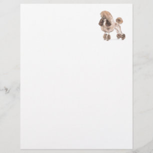 Papier Poodle — Afficher le manteau
