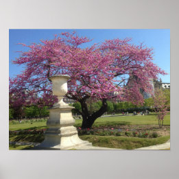 Papier Poster Cherry Blossoms (Matte)