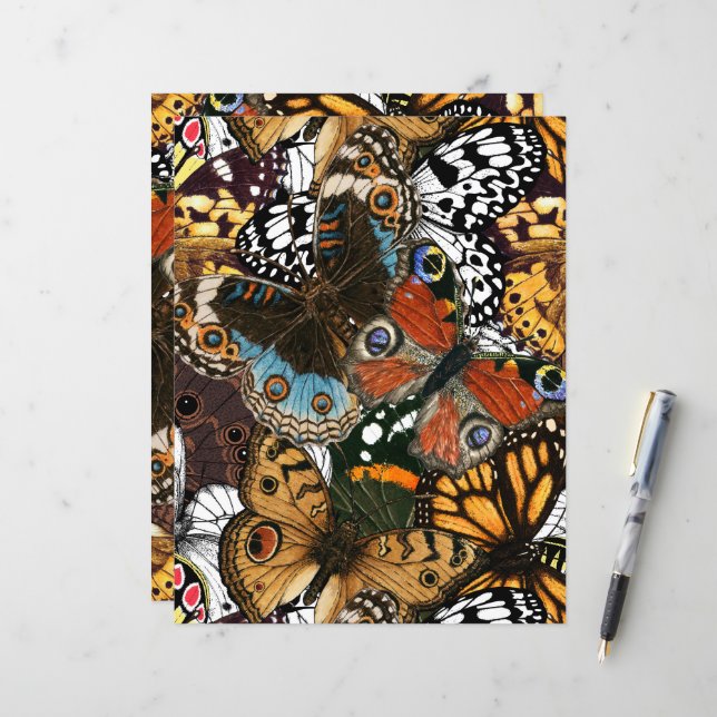 Papier Poster de animal. Ailes papillons. (Devant/Arrière en situation)