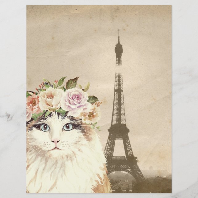 Papier pour chat fantaisie et tour Eiffel (Devant)