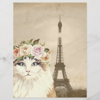 Papier pour chat fantaisie et tour Eiffel
