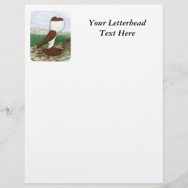 Papier Pouter Pigeon Red Hana (Devant)