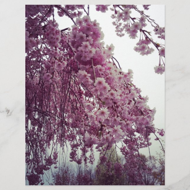 Papier Printemps (Devant)
