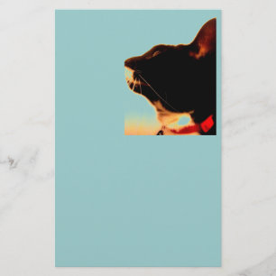 Papier Profil de Lucy