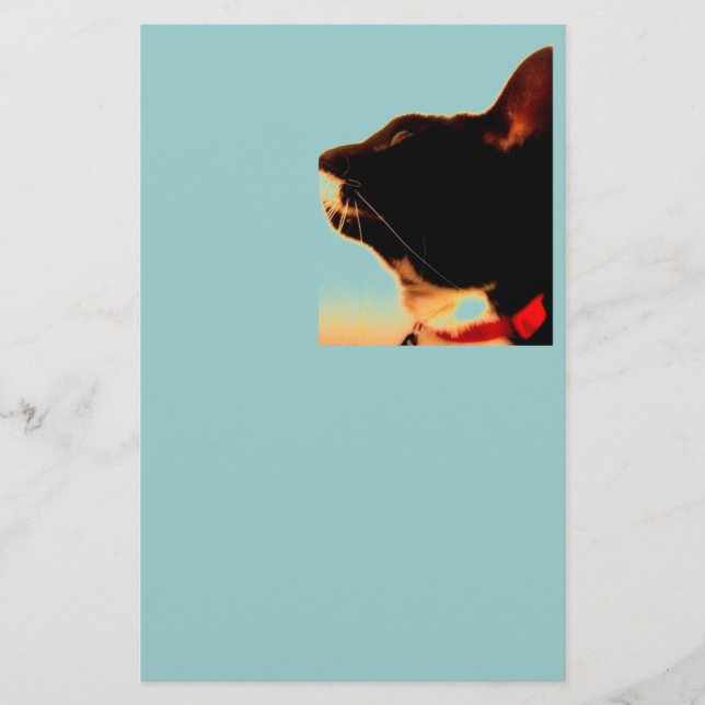 Papier Profil de Lucy (Devant)