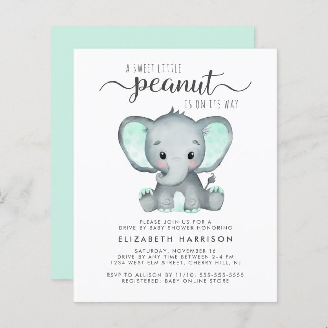 Papier Promenade Budget Elephant Mint Par Invitation Baby (Devant / Derrière)