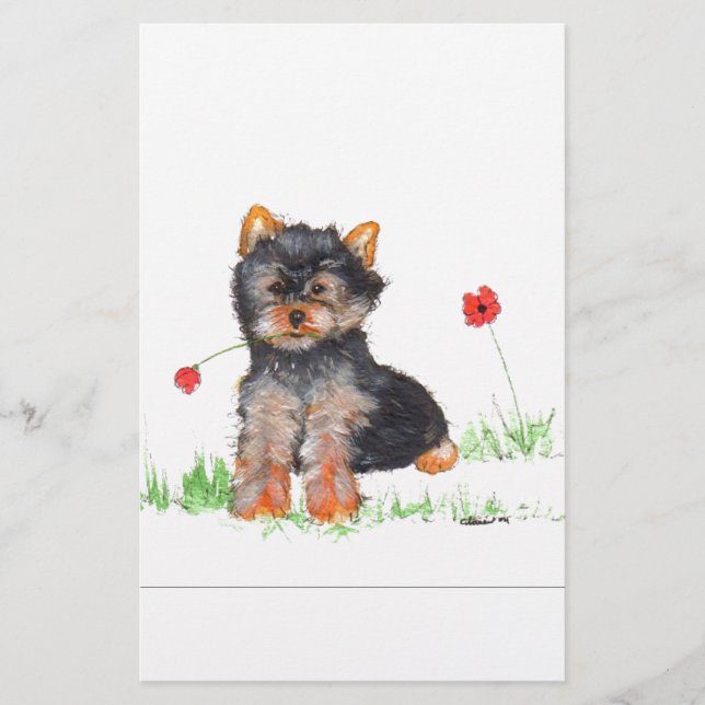 Papier Pub de Yorkshire terrier (Devant)
