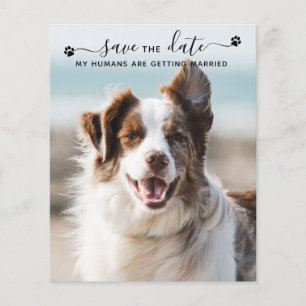 Papier QR Code Chien Mariage Photo Animaux de Compagnie E