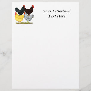 Papier Quatuor de poulet à coq lourd