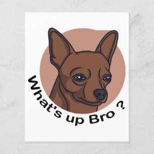 Papier Quoi de neuf Bro Chihuahua, Drôle Citation Chien