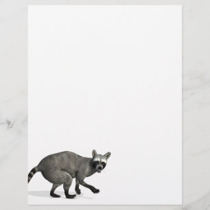 Papier Raccoon surpris