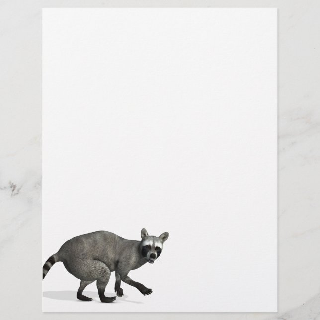 Papier Raccoon surpris (Devant)