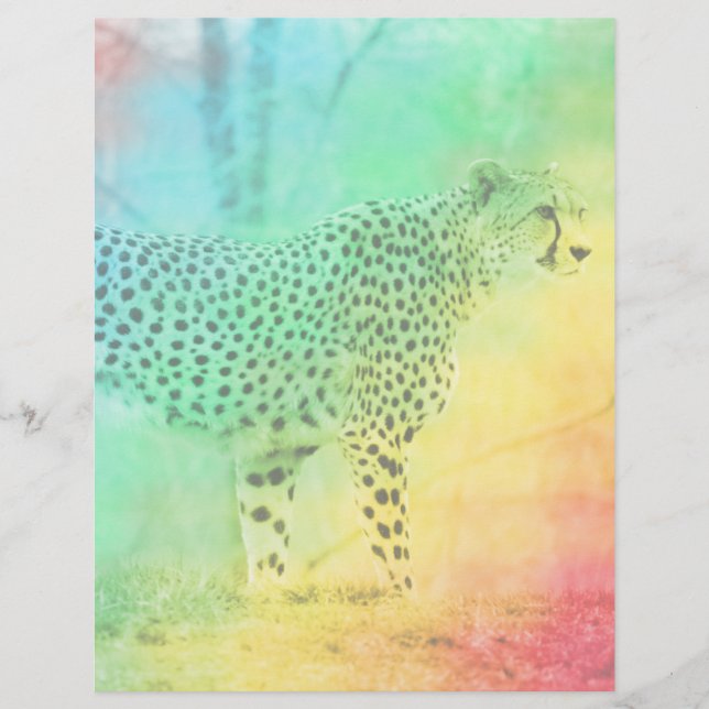 Papier Rainbow Cheetah (Devant)