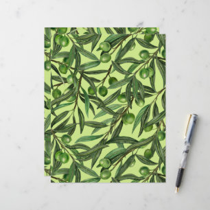 Papier Rameaux d'olivier sur fond vert melon