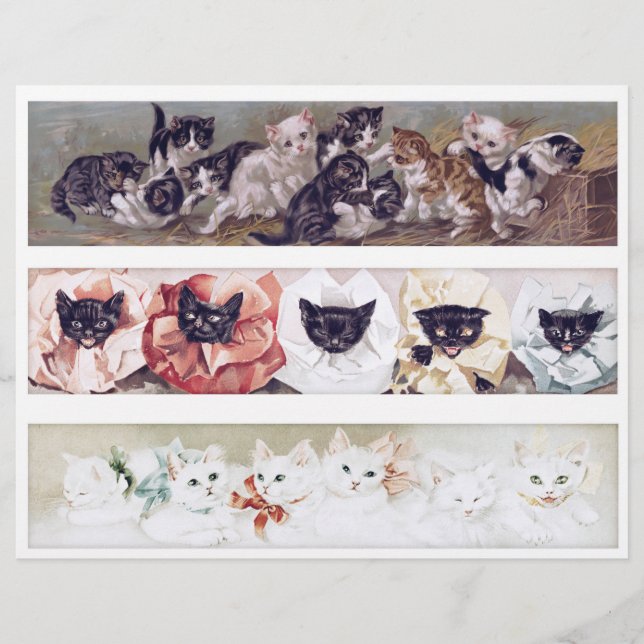 Papier Real (not AI) Long Victorian Era Cat Illustrations (Devant)
