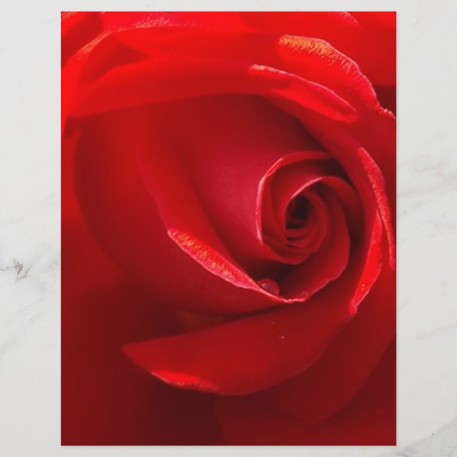 Papier Red-Rose-3.jpg (Devant)