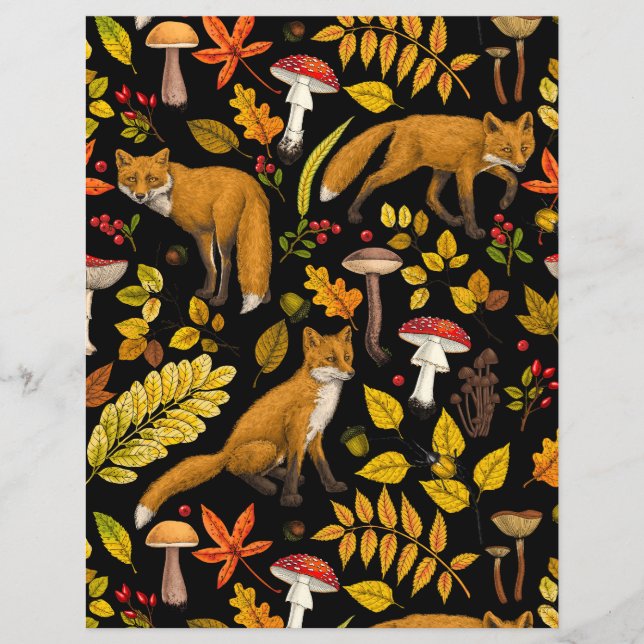 Papier Renard d'automne sur noir (Devant)