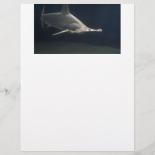 Papier Requin de poisson-marteau