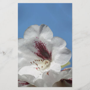 Papier Rhododendron blanc avec Bourgogne