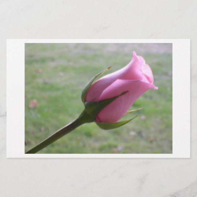 Papier rose (Devant)