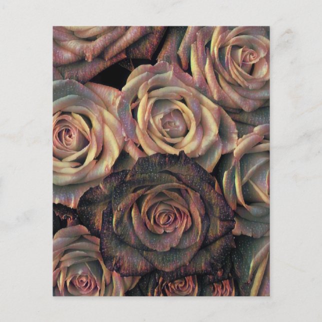 Papier rose Brown, orange, or (Devant)