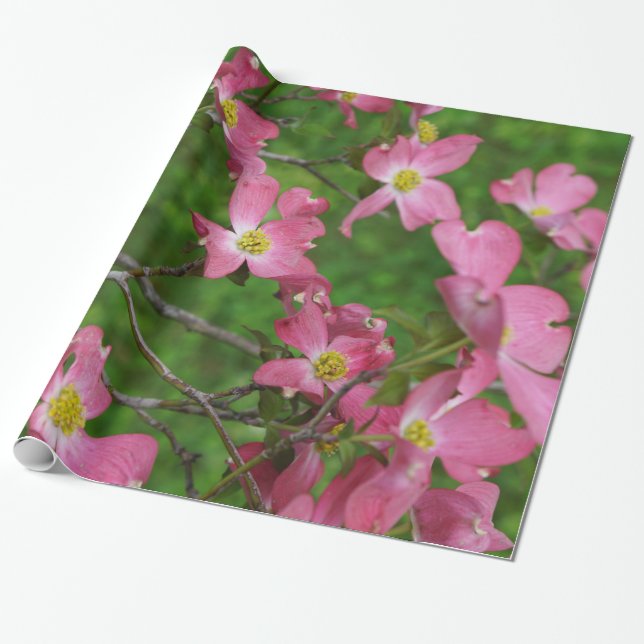 Papier rose d'emballage cadeau de cornouiller (Déroulé)