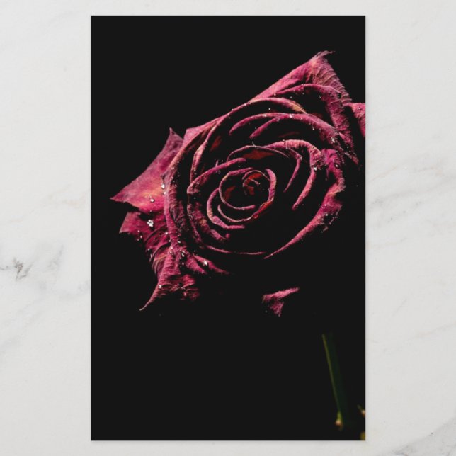 Papier rose noir (Devant)