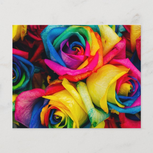 Papier Roses arc-en-ciel Fleurs de rose paix romantique j (Devant)