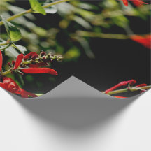 Papier rouge de Wraping de cadeau d'automne