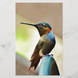 Papier Ruby perché et petit colibri vert