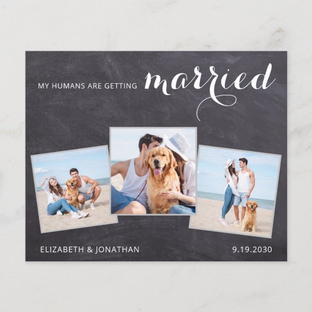 Papier Rustic Chien Mariage 3 Budget Photo Enregistrer La (Devant)