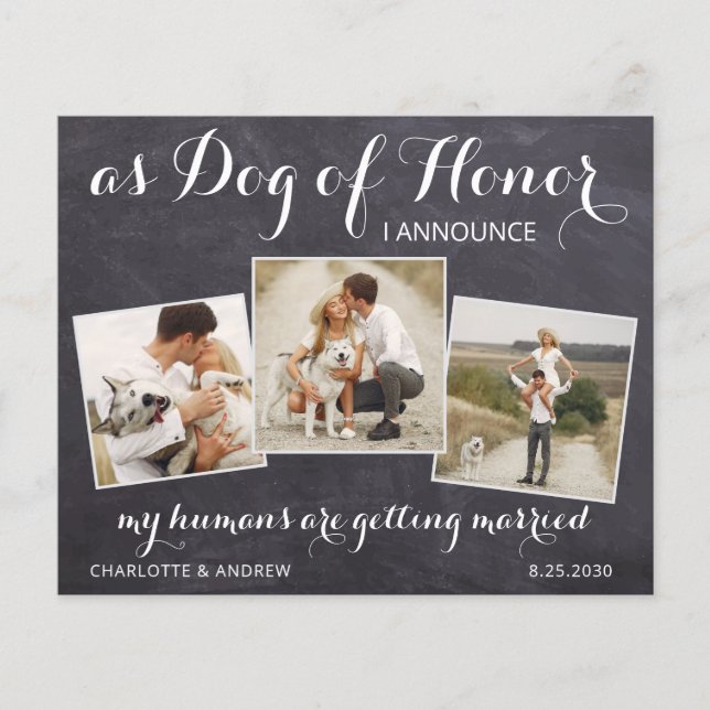 Papier Rustic Pet Chien Photo Budget Mariage Enregistrer  (Devant)